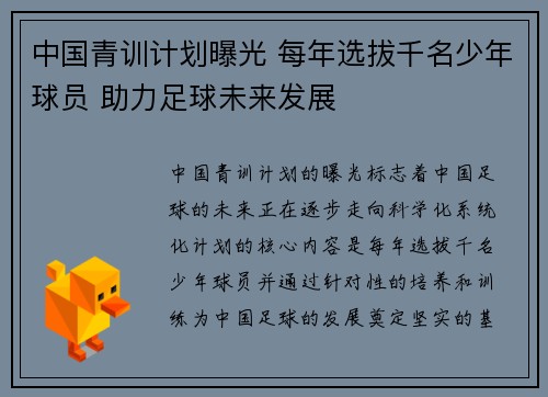 中国青训计划曝光 每年选拔千名少年球员 助力足球未来发展